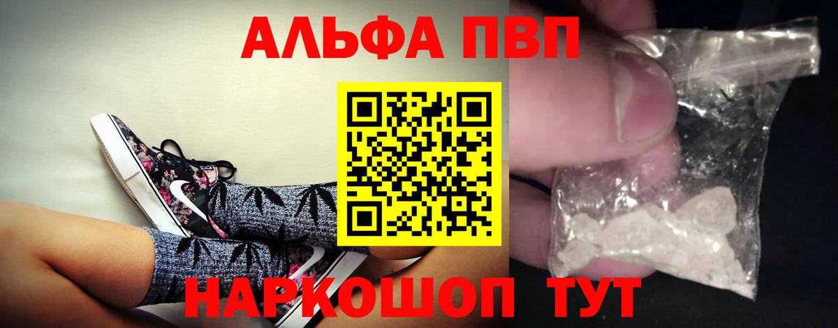 A-PVP СК Новодвинск