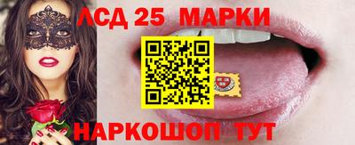 тгк Ставрополь