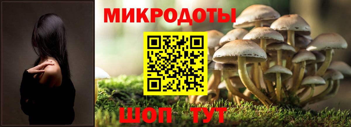 Новодвинск  Псилоцибиновые грибы MAGIC MUSHROOMS  Вход с VPN 